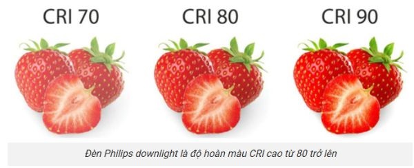 Đèn âm Trần Philips Có Chỉ Số CRI Cao 80