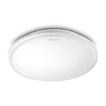 Đèn Led Ốp Trần Nổi Philips CL254 17W 6500K D347